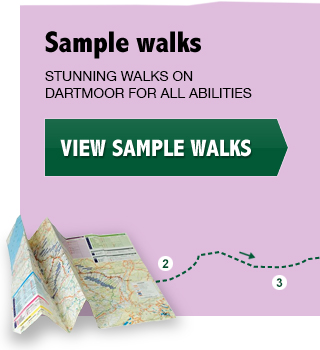 Sample Walks