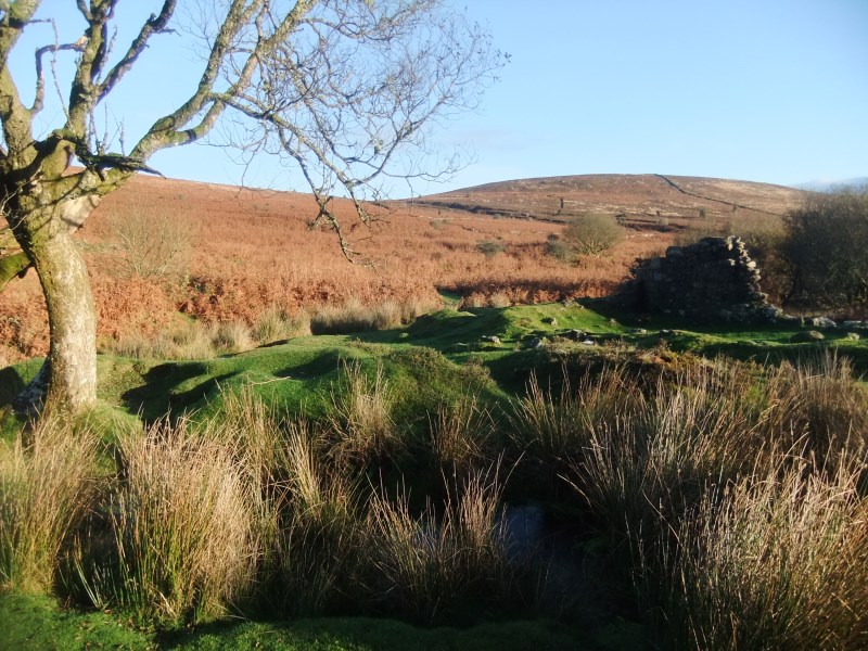Five Great Dartmoor Winter Walks